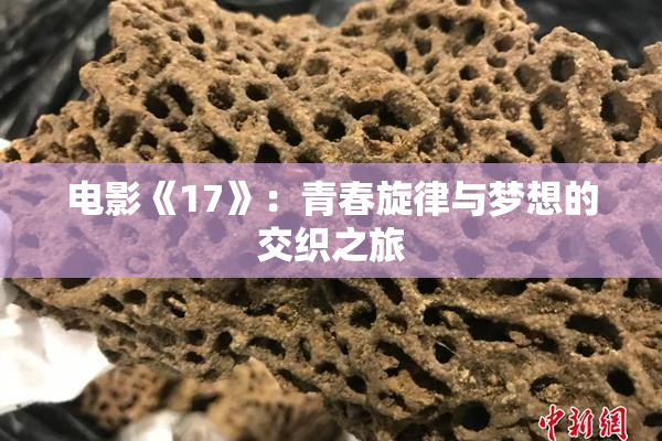 电影《17》：青春旋律与梦想的交织之旅