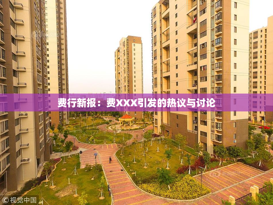 费行新报：费XXX引发的热议与讨论