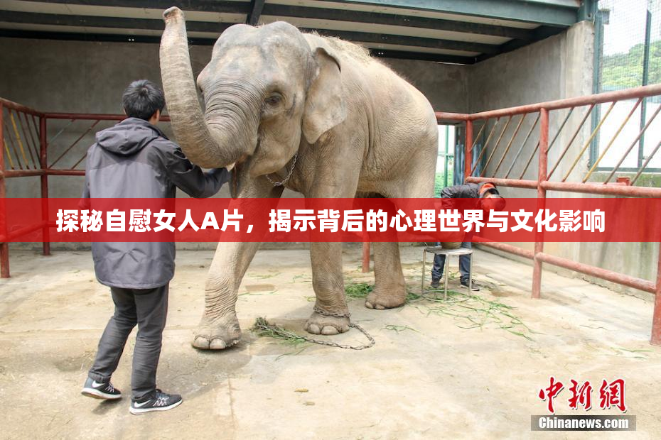 探秘自慰女人A片，揭示背后的心理世界与文化影响