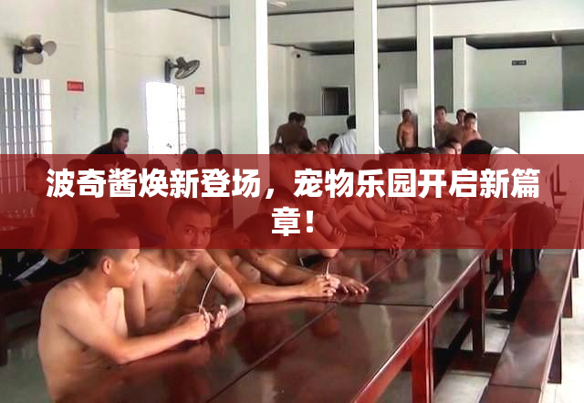 波奇酱焕新登场，宠物乐园开启新篇章！