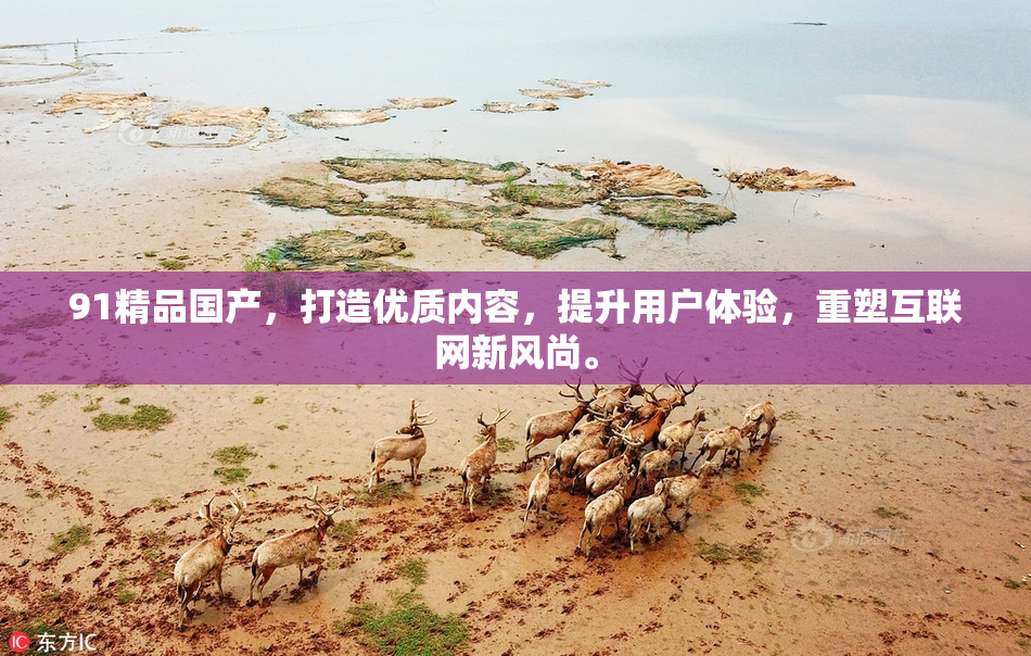 91精品国产，打造优质内容，提升用户体验，重塑互联网新风尚。