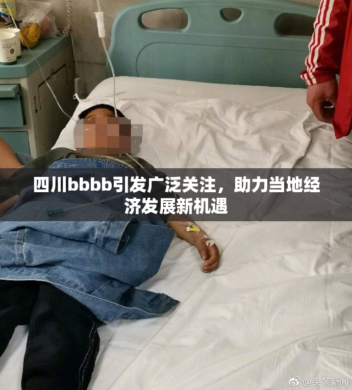 四川bbbb引发广泛关注，助力当地经济发展新机遇