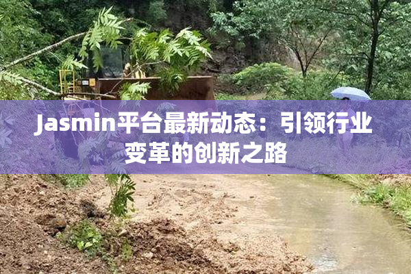 Jasmin平台最新动态：引领行业变革的创新之路