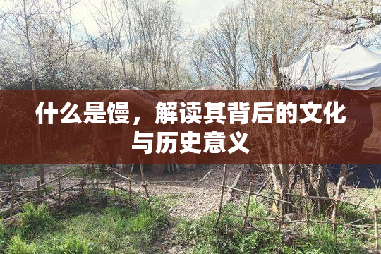 什么是馒，解读其背后的文化与历史意义