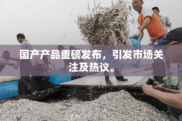 国产产品重磅发布，引发市场关注及热议。