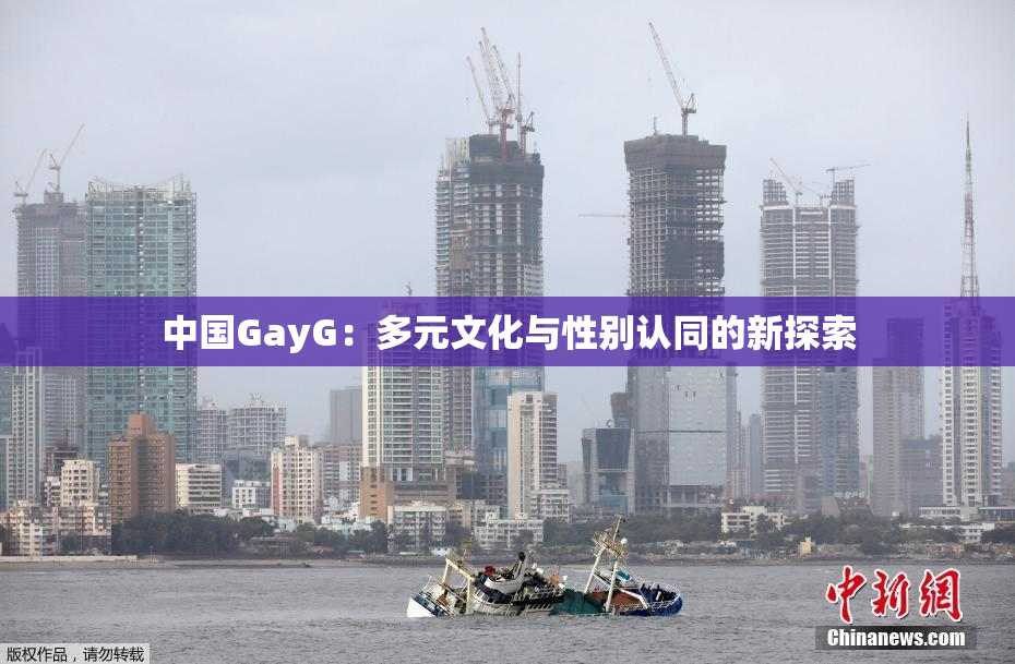 中国GayG：多元文化与性别认同的新探索