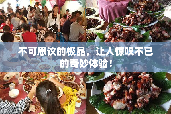 不可思议的极品，让人惊叹不已的奇妙体验！