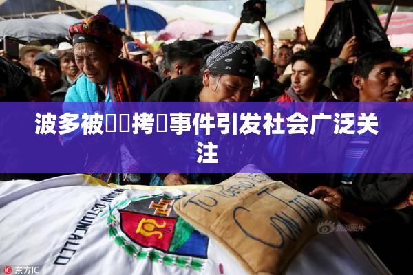 波多被緊縛拷問事件引发社会广泛关注