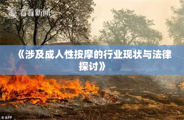 《涉及成人性按摩的行业现状与法律探讨》