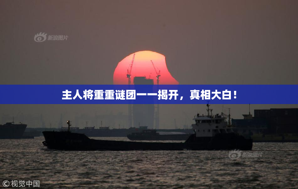 主人将重重谜团一一揭开，真相大白！
