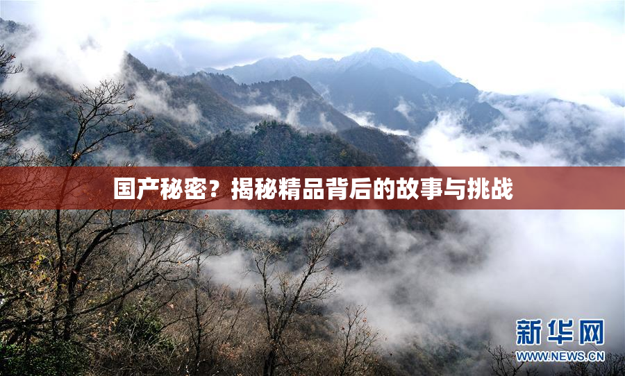 国产秘密？揭秘精品背后的故事与挑战