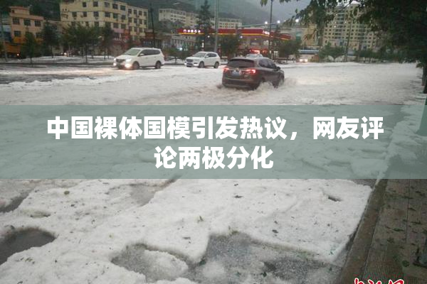 中国裸体国模引发热议，网友评论两极分化