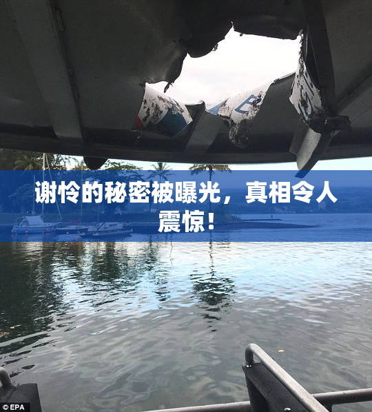 谢怜的秘密被曝光，真相令人震惊！