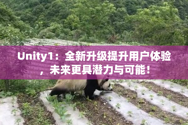 Unity1：全新升级提升用户体验，未来更具潜力与可能！