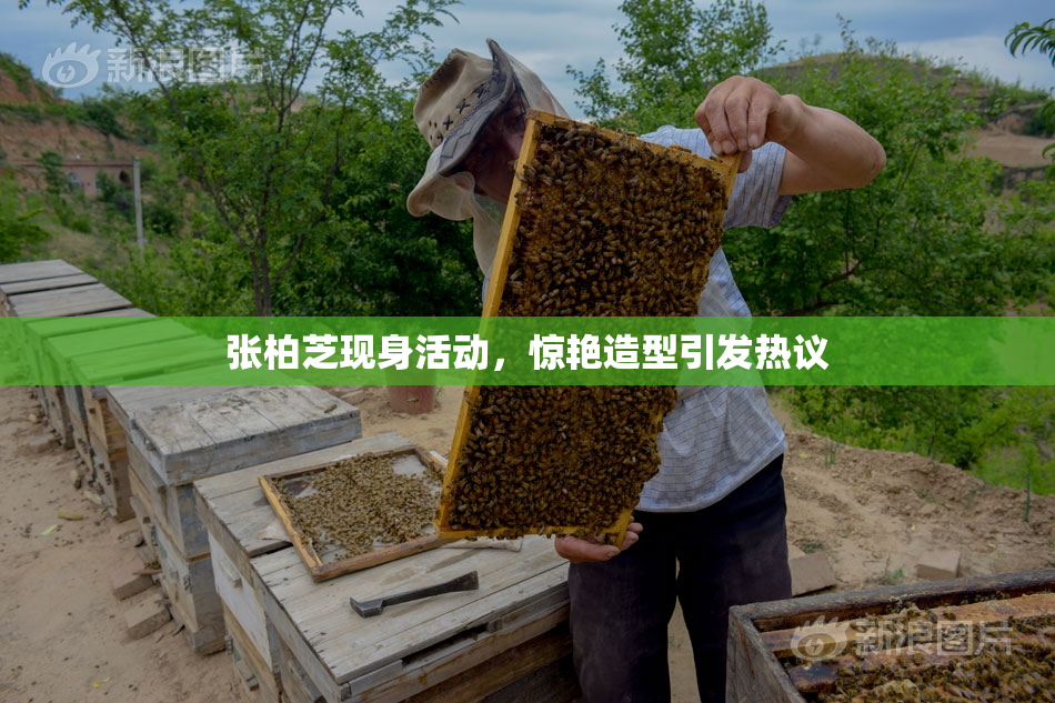 张柏芝现身活动，惊艳造型引发热议