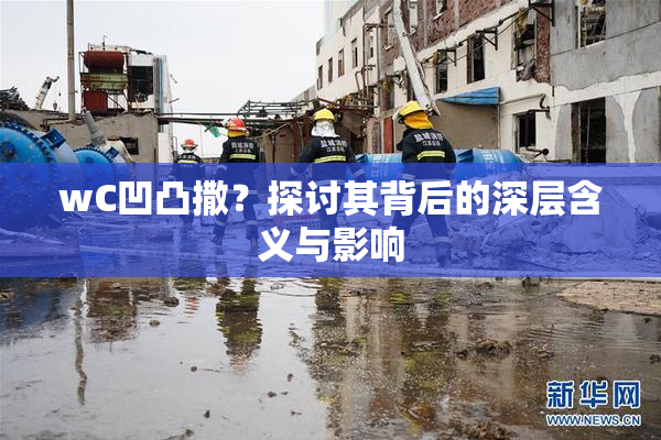 wC凹凸撒？探讨其背后的深层含义与影响