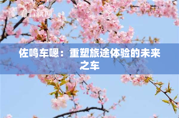 佐鸣车嗯：重塑旅途体验的未来之车