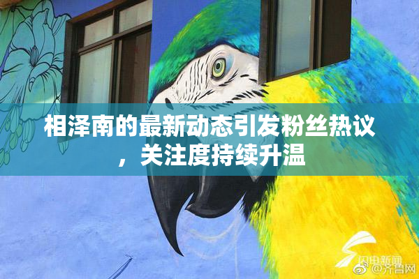 相泽南的最新动态引发粉丝热议，关注度持续升温