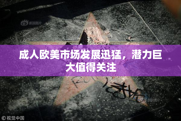 成人欧美市场发展迅猛，潜力巨大值得关注