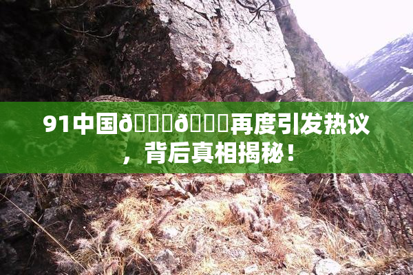 91中国🍆🍑再度引发热议，背后真相揭秘！