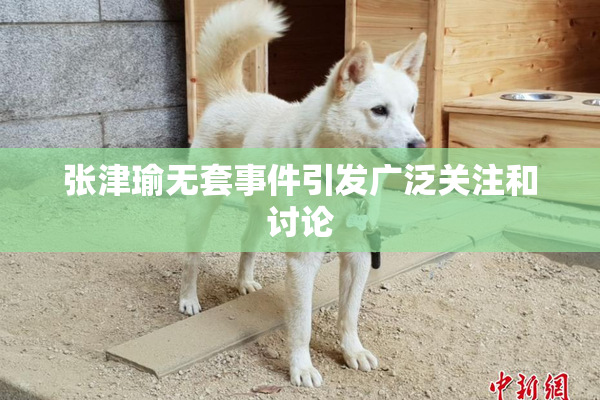 张津瑜无套事件引发广泛关注和讨论