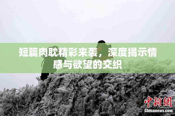 短篇肉耽精彩来袭，深度揭示情感与欲望的交织
