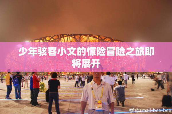 少年骇客小文的惊险冒险之旅即将展开