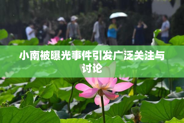 小南被曝光事件引发广泛关注与讨论