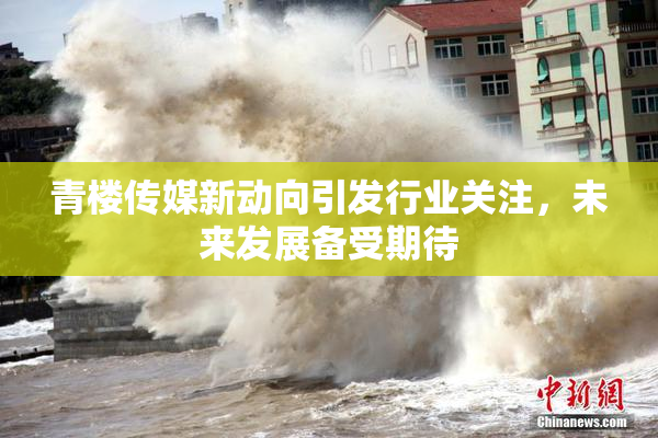青楼传媒新动向引发行业关注，未来发展备受期待