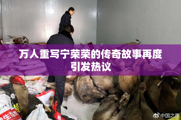 万人重写宁荣荣的传奇故事再度引发热议