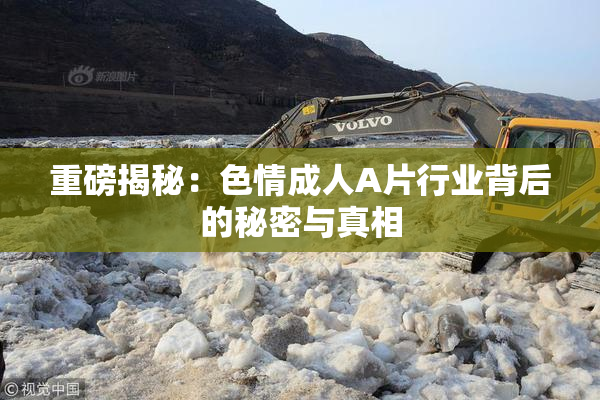 重磅揭秘：色情成人A片行业背后的秘密与真相