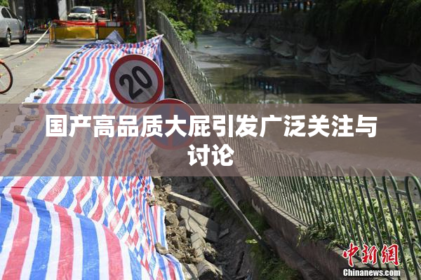国产高品质大屁引发广泛关注与讨论
