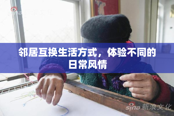 邻居互换生活方式，体验不同的日常风情
