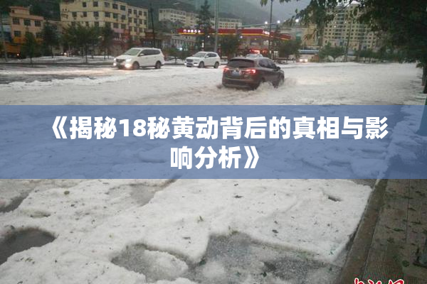 《揭秘18秘黄动背后的真相与影响分析》