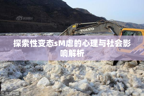 探索性变态sM虐的心理与社会影响解析