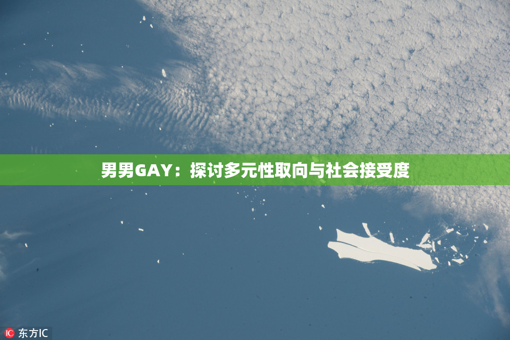 男男GAY：探讨多元性取向与社会接受度