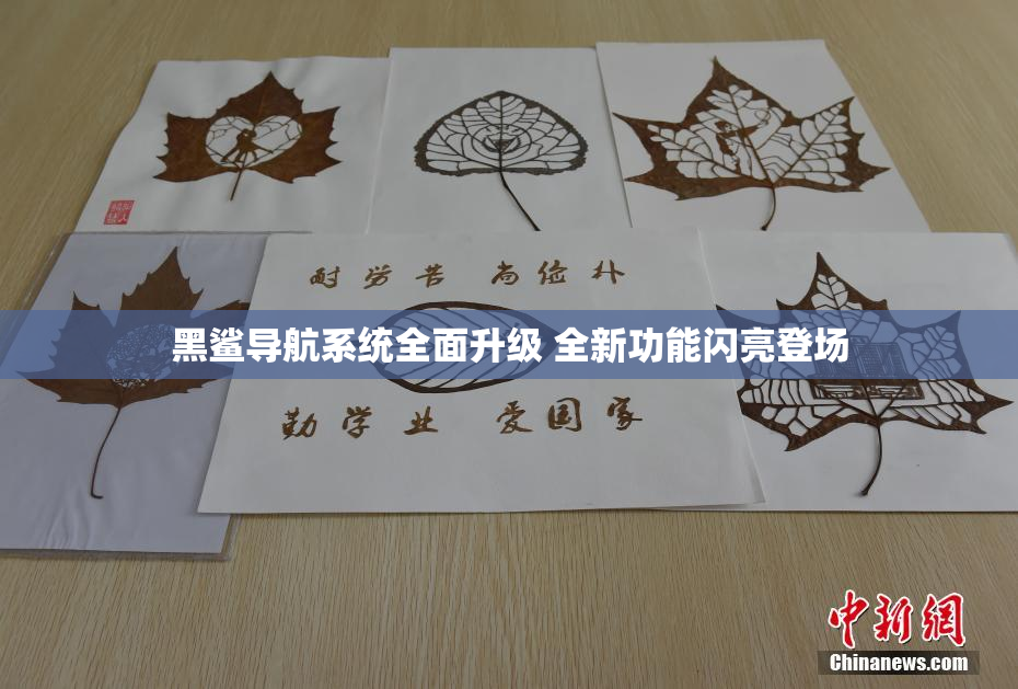 黑鲨导航系统全面升级 全新功能闪亮登场
