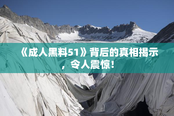 《成人黑料51》背后的真相揭示，令人震惊！