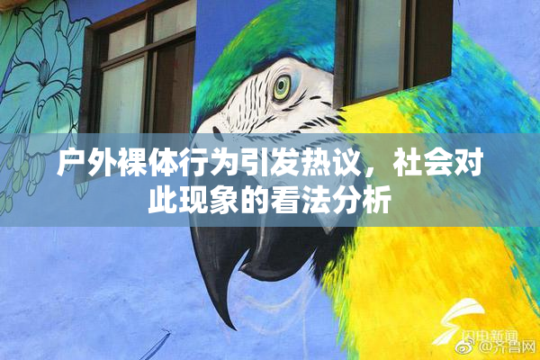 户外裸体行为引发热议，社会对此现象的看法分析