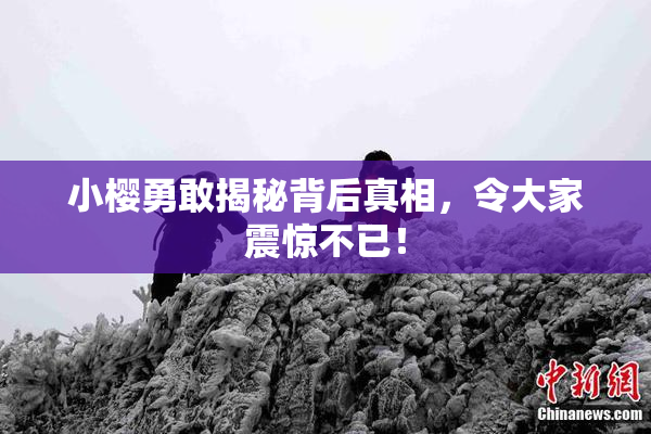小樱勇敢揭秘背后真相，令大家震惊不已！