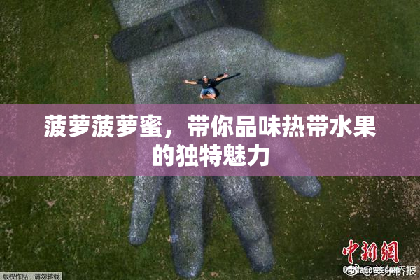 菠萝菠萝蜜，带你品味热带水果的独特魅力