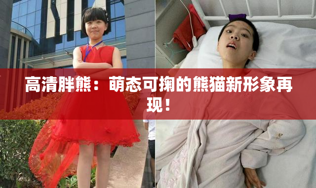 高清胖熊：萌态可掬的熊猫新形象再现！