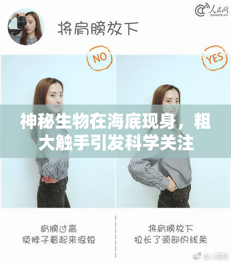神秘生物在海底现身，粗大触手引发科学关注