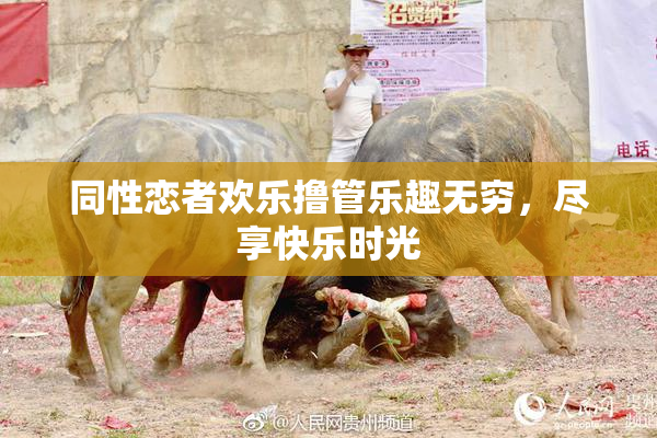 同性恋者欢乐撸管乐趣无穷，尽享快乐时光