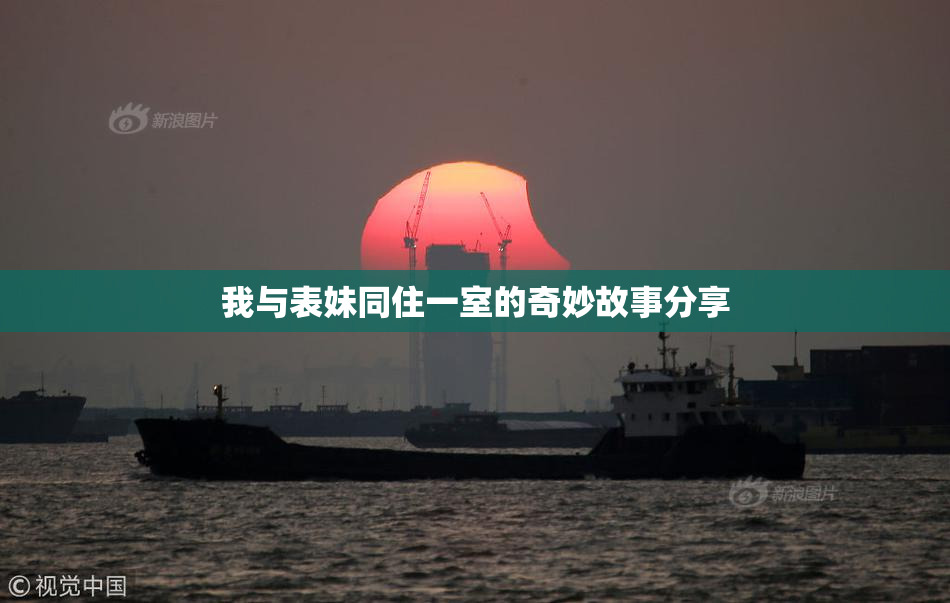 我与表妹同住一室的奇妙故事分享