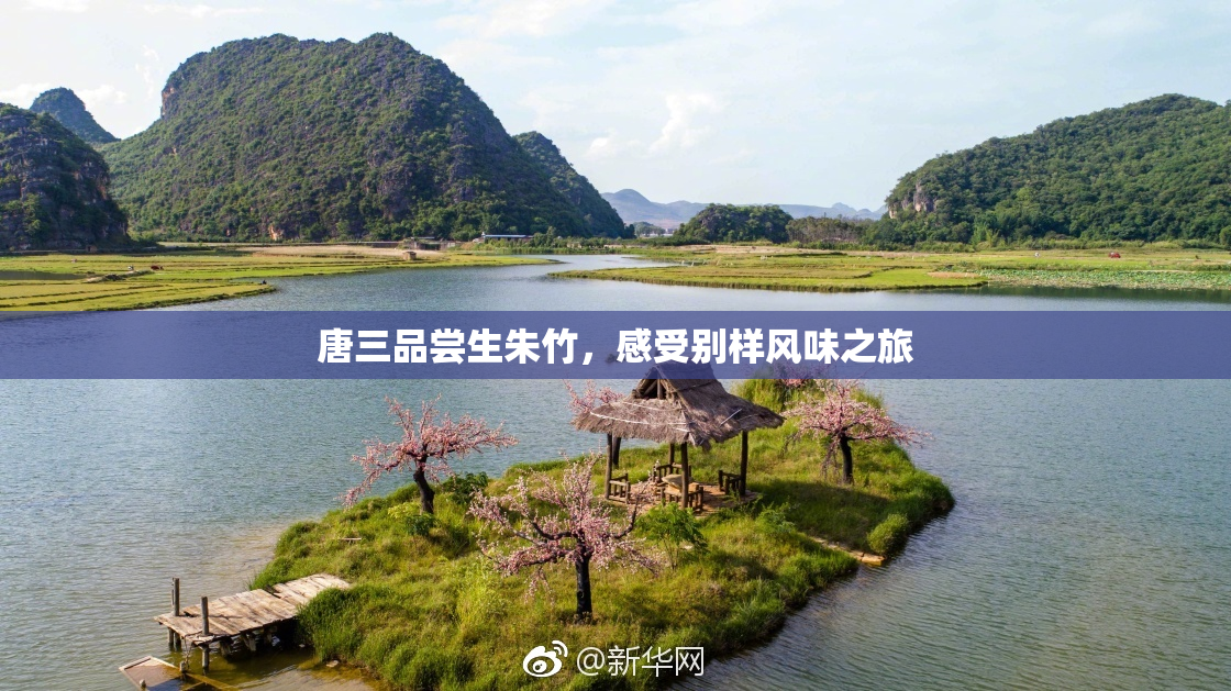 唐三品尝生朱竹，感受别样风味之旅