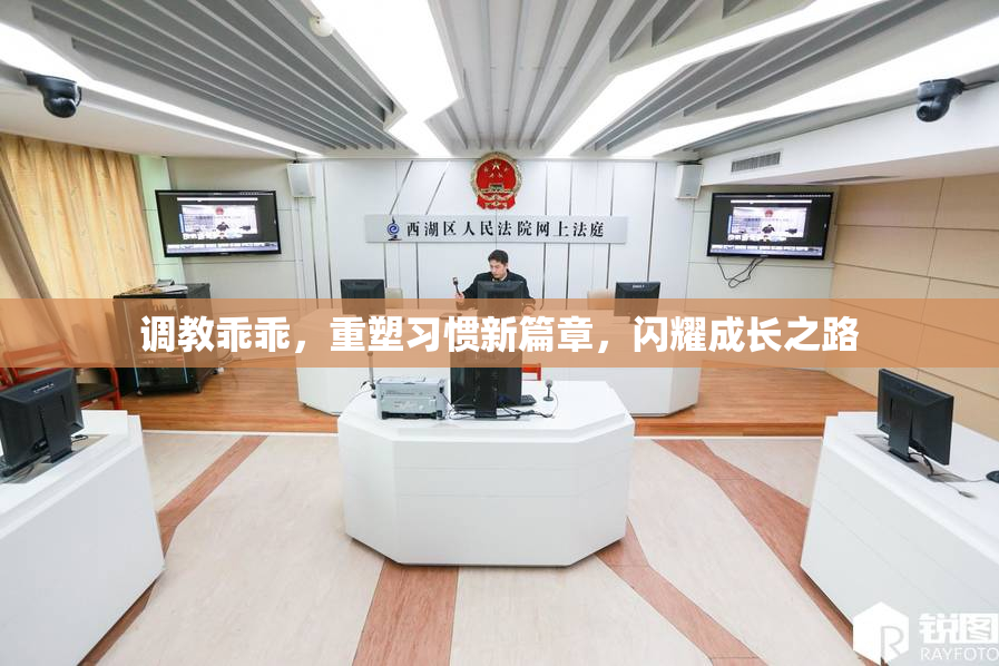 调教乖乖，重塑习惯新篇章，闪耀成长之路