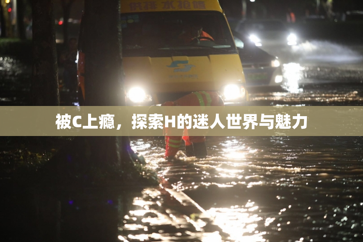 被C上瘾，探索H的迷人世界与魅力