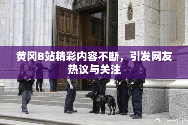 黄冈B站精彩内容不断，引发网友热议与关注