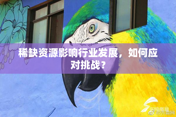 稀缺资源影响行业发展，如何应对挑战？